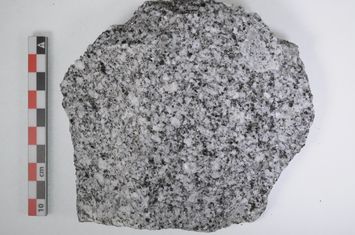 Vorschaubild Granodiorit